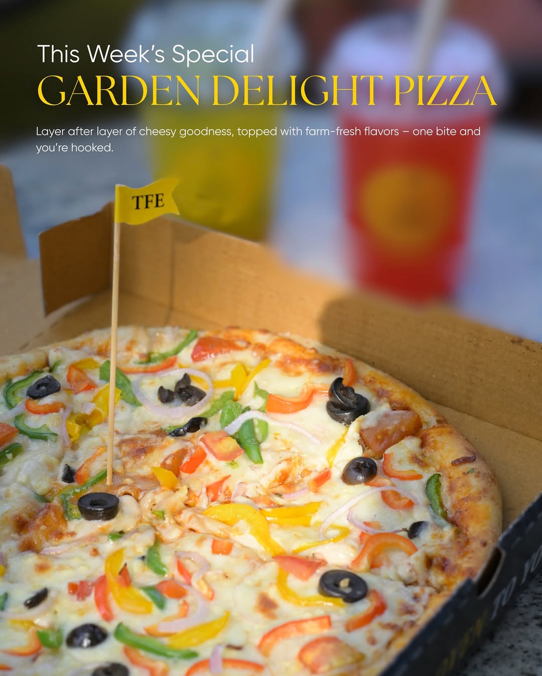 Garden Delight Pizza — this week's special, loaded with farm-fresh vegetables